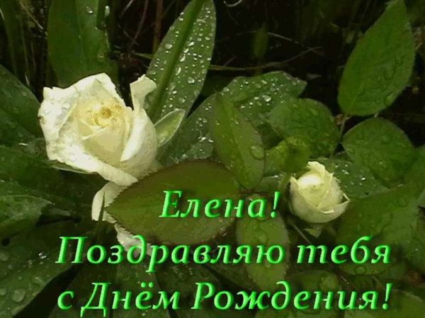 С днём рождения лпночка