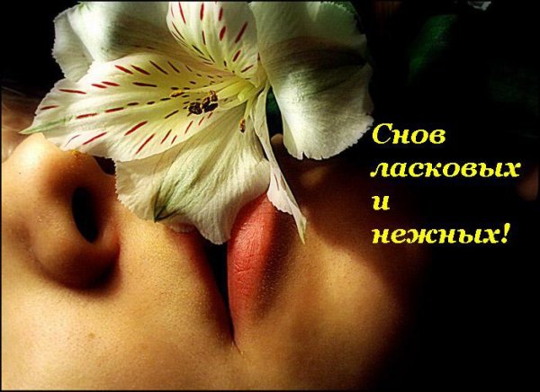Нежных и ласковых снов