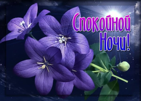 Пожелания спокойной ночи женщине