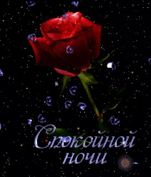 Спокойной ночи розы
