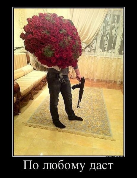 Демотиваторы цветы