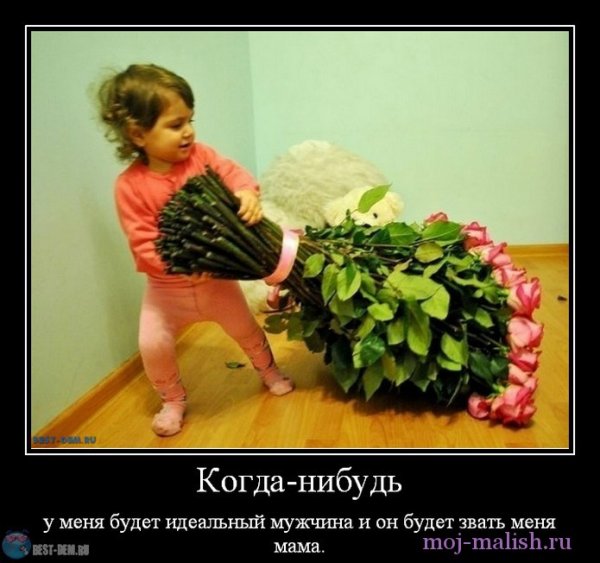 Нарву цветов и подарю букет той девушке которую
