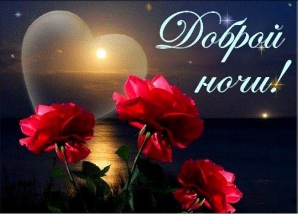 Спокойной ночи цветы