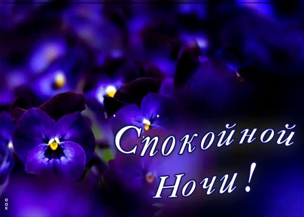 Красивые букеты с пожеланиями спокойной ночи