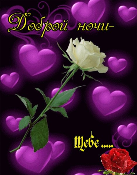 Доброй ночи лилии