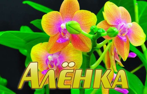Поздравления с днём Алёне