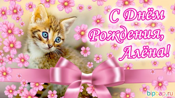 С днем рождения Алена Геннадьевна