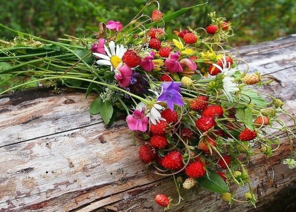 Букет из земляники и ромашек