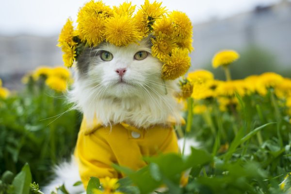 Открытки для настроения
