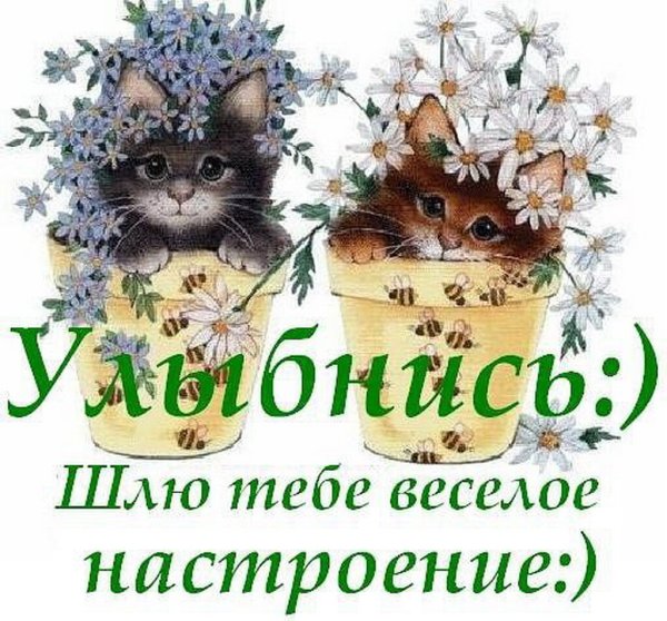 Корзинка пожеланий