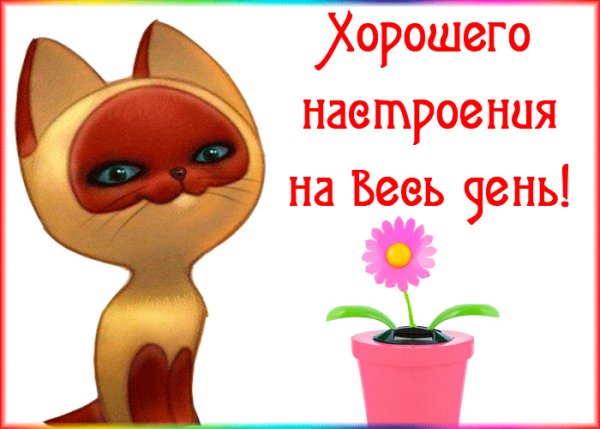 Позитивные цитаты