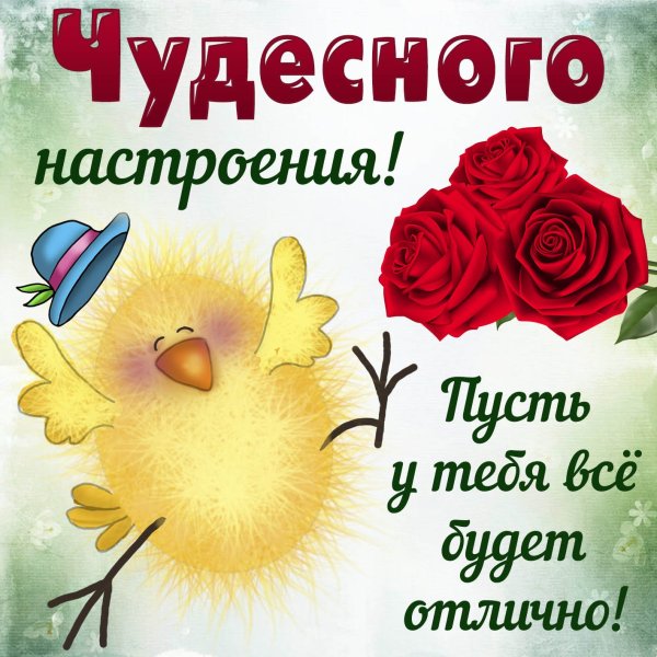 Позитивные открытки