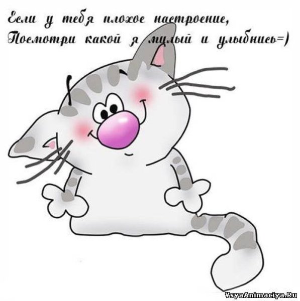 Позитивные открытки на каждый день