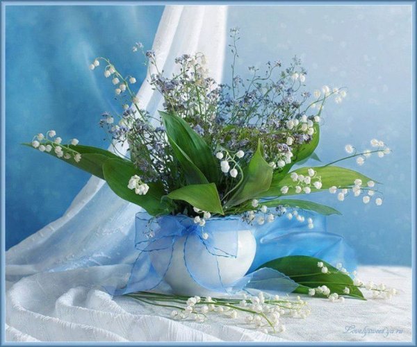 Пролески, подснежники, крокусы