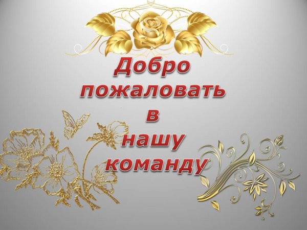 Добро пожаловать в нашу команду