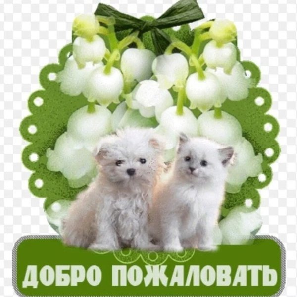 Открытка добро пожаловать в группу