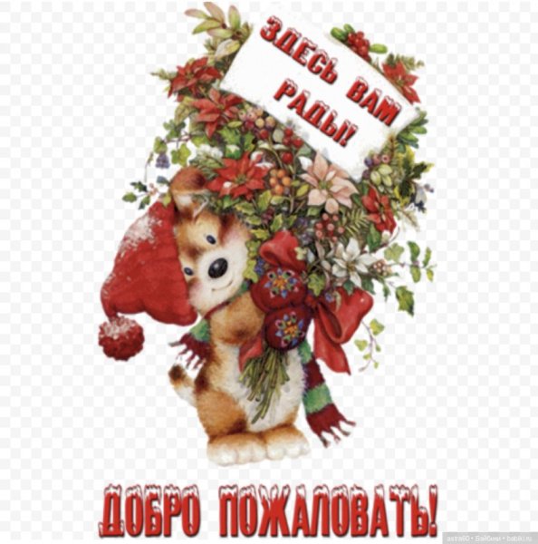 Добро пожаловать!