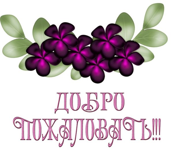 Добро пожаловать!