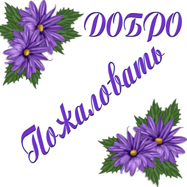 Добро пожаловать!