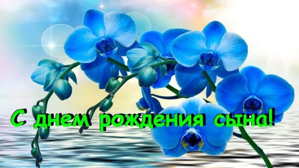 С днём рождения сына маме