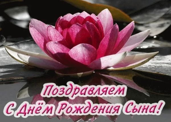 Открытка с новорожденным