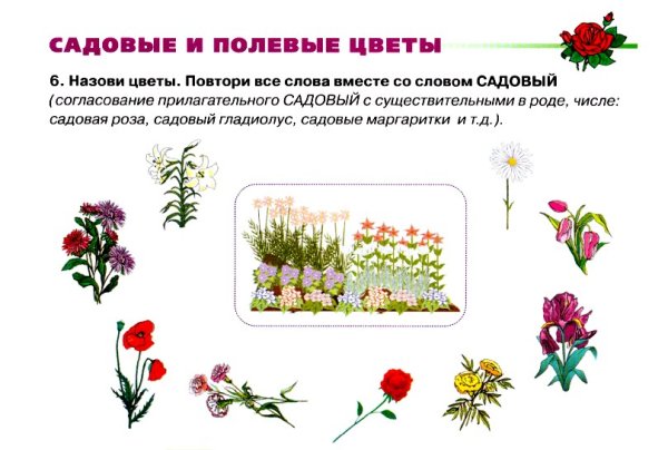 Садовые и полевые цветы для детей