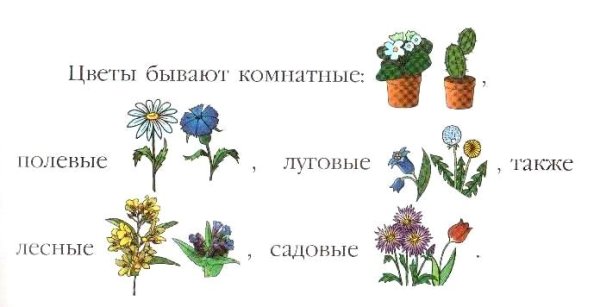 Лексическая тема цветы