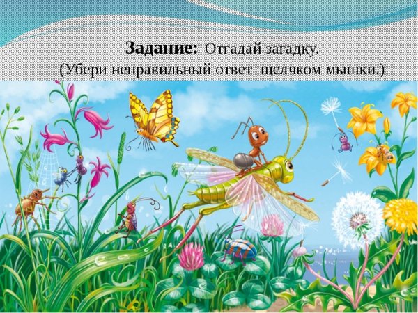 Луг с насекомыми