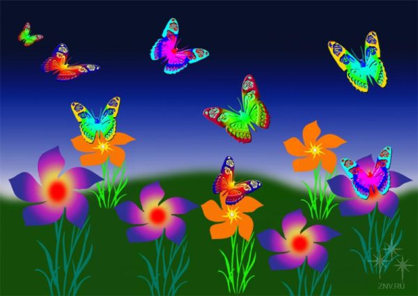 Полянка с цветами и бабочками