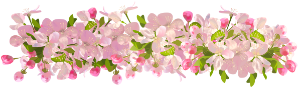 Летние цветы