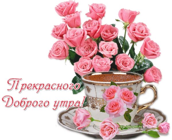 Чудесного утра и отличного настроения