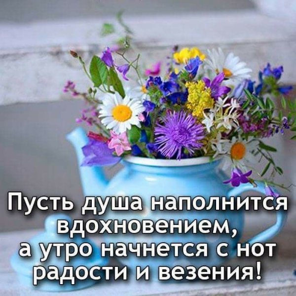 Душевные пожелания с утра