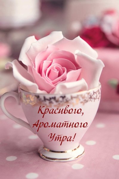 Цветы в чашке