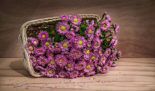 Композиция из сентябринок