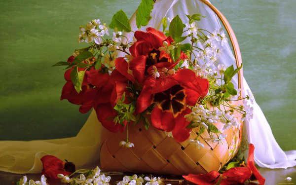 Цветы в корзине