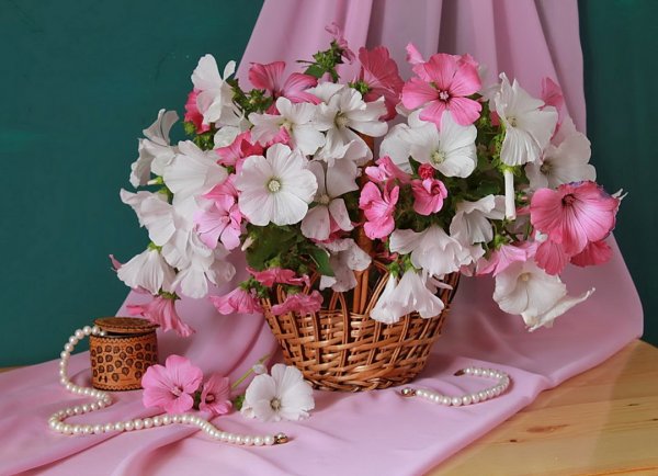 Букет из флоксов