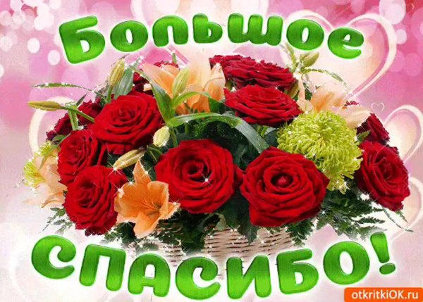 Мишка с букетом цветов