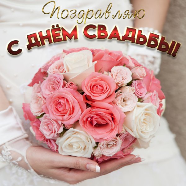 Красивые белые цветы