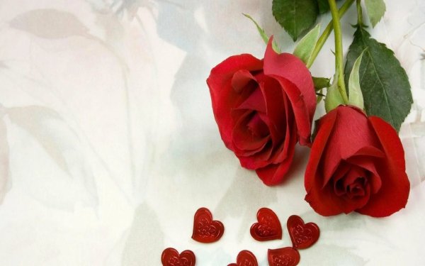 Сердце для любимой