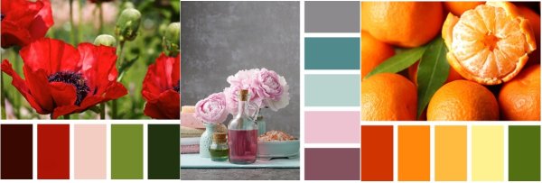 Сочетание 5 цветов