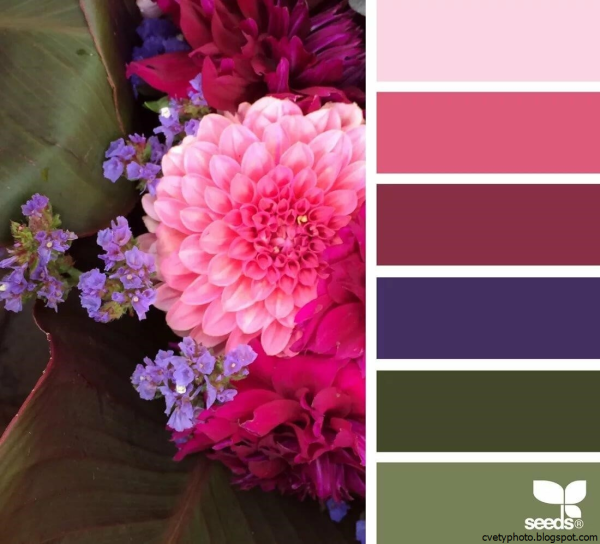 Красивые оттенки цветов