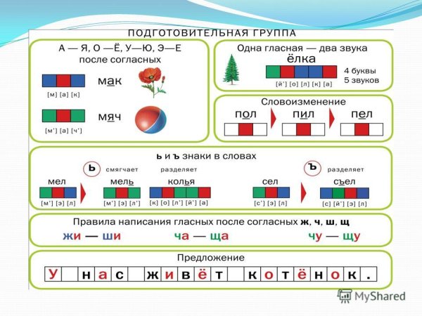 Алгоритм звуко-буквенного разбора 1 класс
