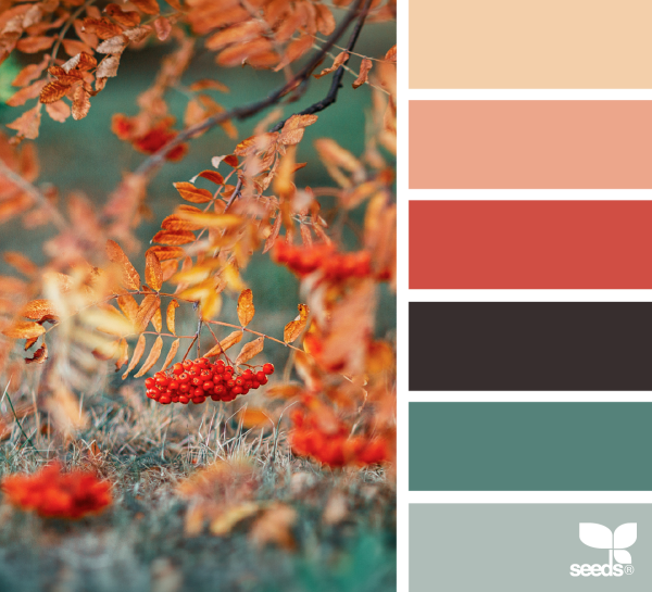 Колор Романюк палитра