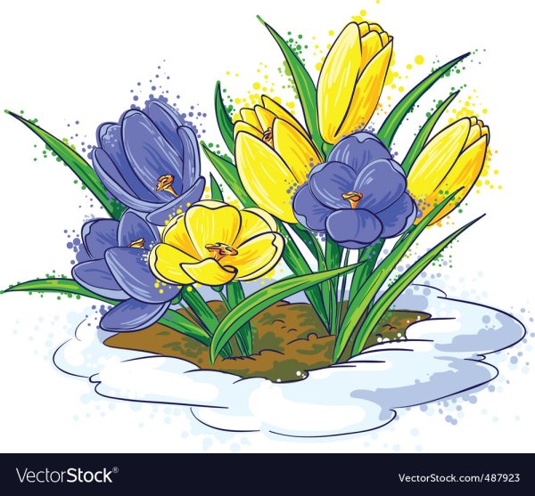 Первоцветы отрисовки