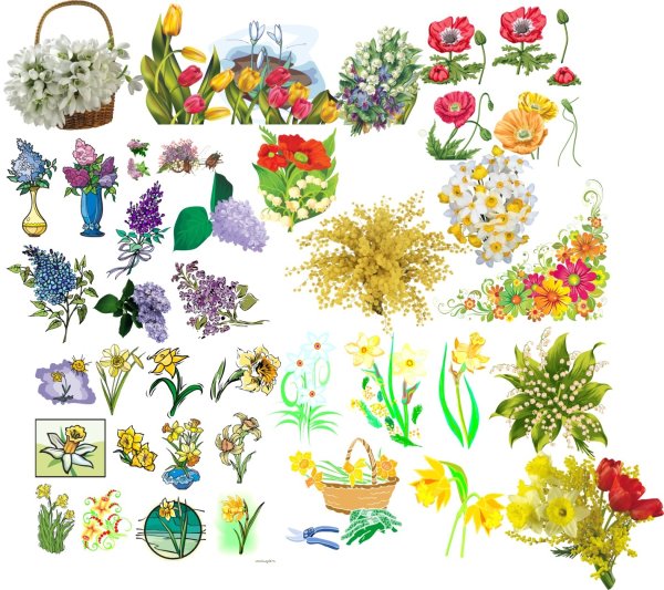 Подснежник для дошкольников