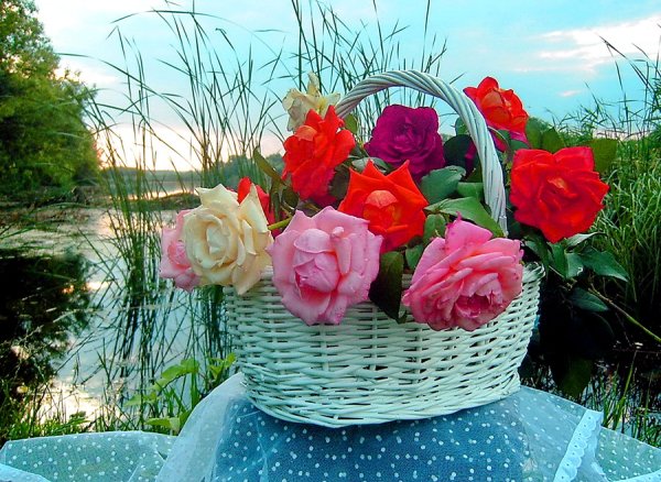 Цветы для настроения