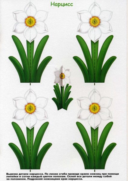 Весенние цветы для вырезания в цвете