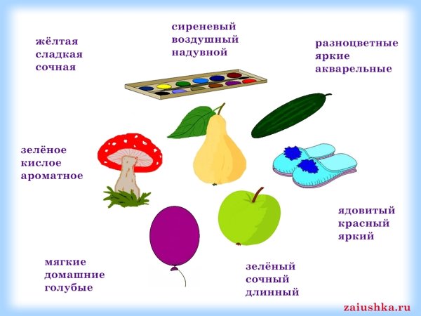 Предметы по признакам