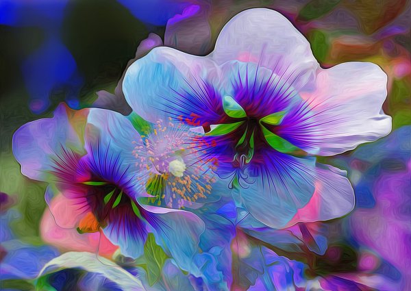 Нежный цветок