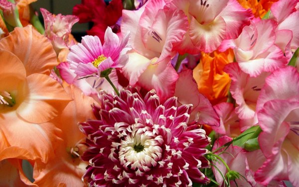 Красивый букет цветов